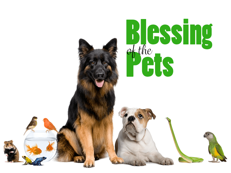 Blessing of Pets